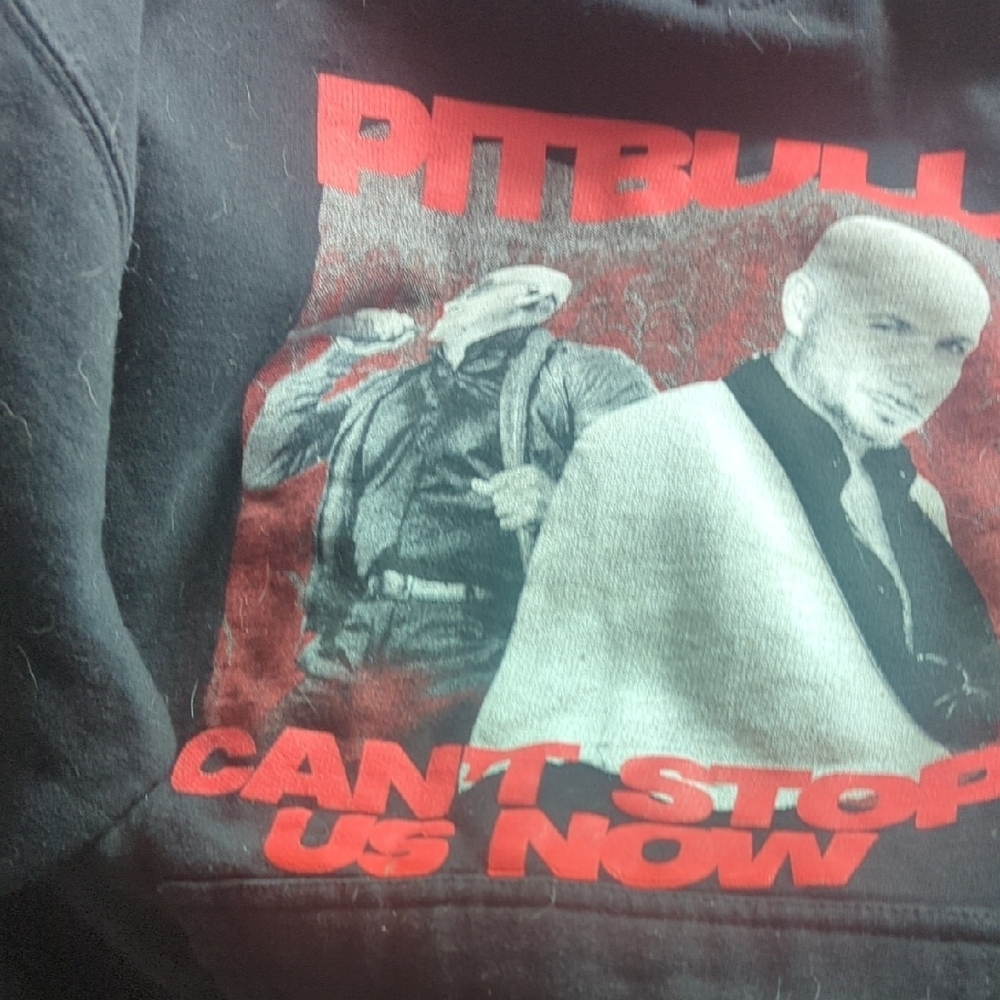 Pitbull Black Graphic Hoodie